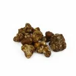 Indian Spirit Truffels | Lost in Space (Tampanensis) 15G - Afbeelding 3