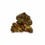 Indian Spirit Truffels | Lost in Space (Tampanensis) 15G - Afbeelding 4