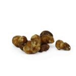 Indian Spirit Truffels | Sky Reacher (Pajaritos) 15G - Afbeelding 4