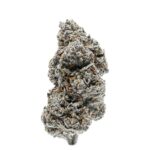 Indian Spirit | Tangerine Milkshake (feminized)