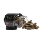 McMyco | Chaga (120 capsules) - Afbeelding 2