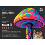 Indian Spirit – B+ Growkit