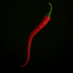 Aci Kil Menderes (10 seeds)