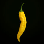 Aji Pineapple (10 seeds)