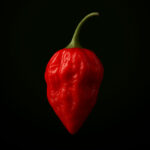 Aji Rainforest (10 seeds)