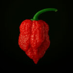 Carolina Reaper (10 seeds)