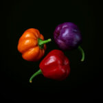 Pumpkin Chili (10 seeds)