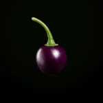 Purple Flash (10 seeds)