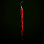 Thunder Mountain Longhorn