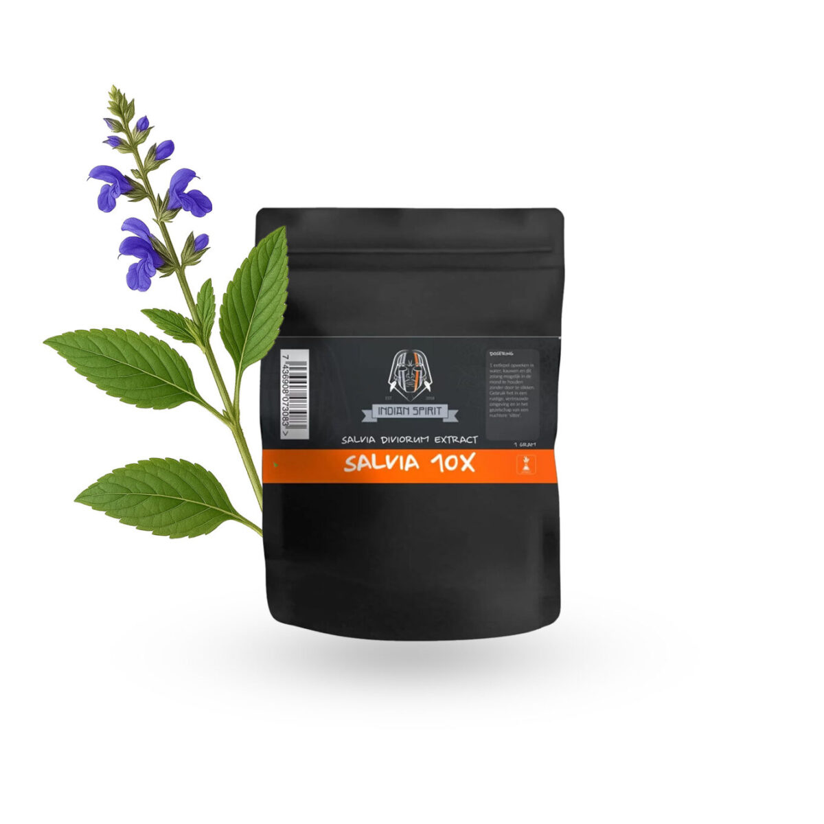 SALVIA 10x Indian Spirit | Salvia Extract 10X (1G) - Afbeelding 1