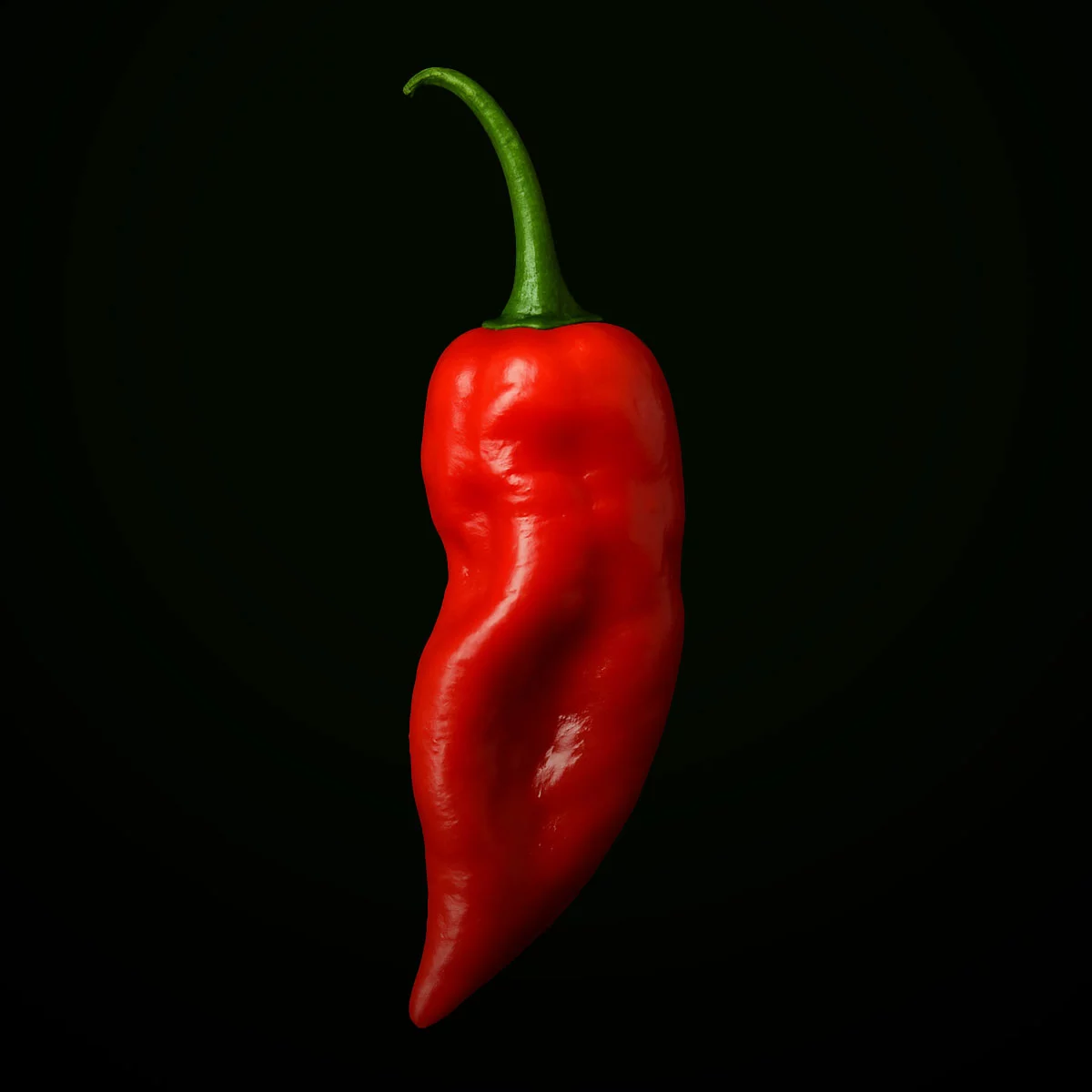 Aji Northeno (10 seeds)