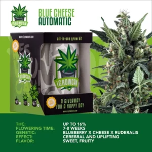 IGrowCan | Blue Cheese Automatic