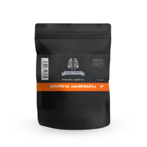 Canary-grass (10 seeds)