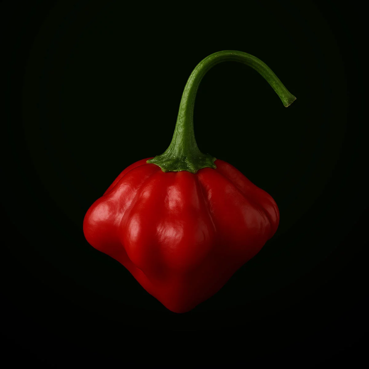 Brazilian Starfish Red (10 seeds)