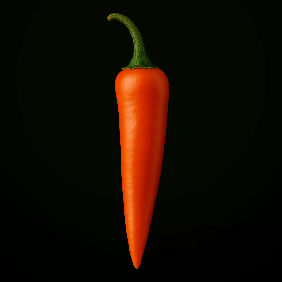 Bulgarian Carrot (10 seeds)