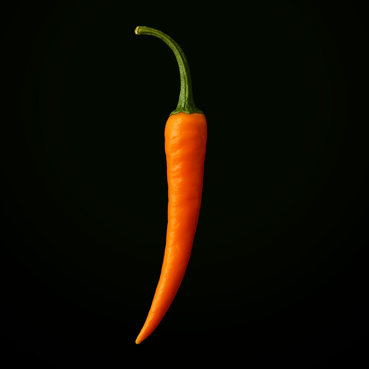 Cayenne Orange (10 seeds)