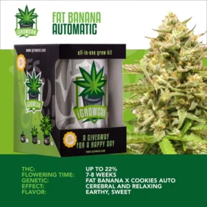 IGrowCan | Fat Banana Automatic