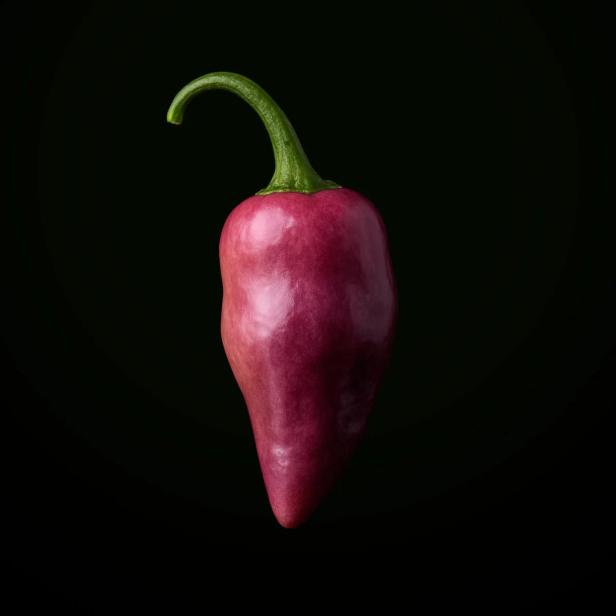 Fidalgo Roxa (10 seeds)