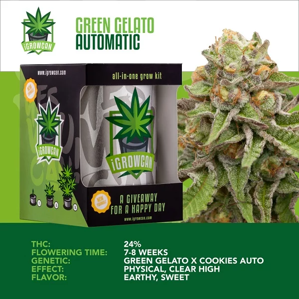 IGrowCan | Green Gelato Automatic