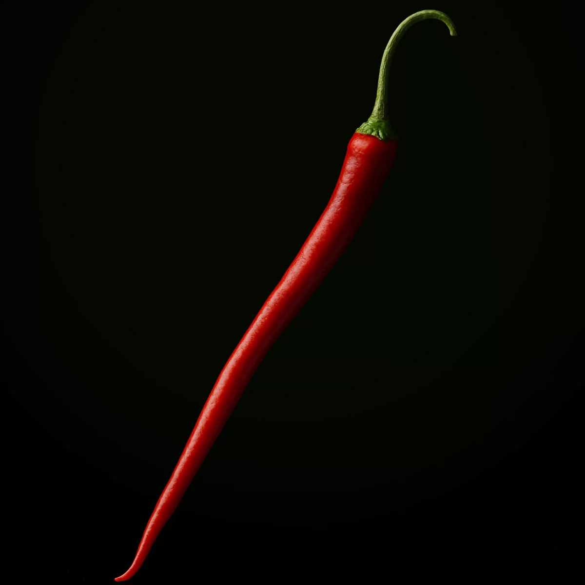 Joe’s Longhorn (10 seeds)