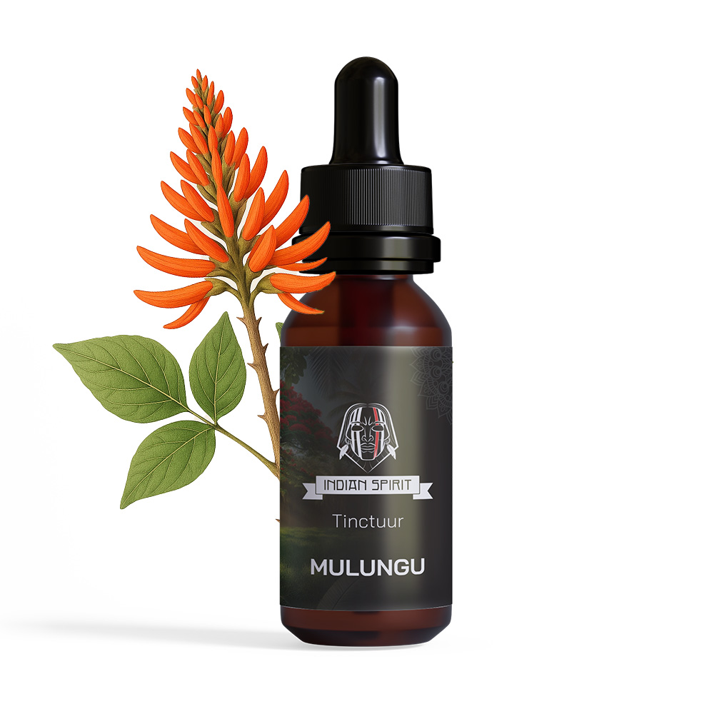 Mulungu Tinctuur (10ml)