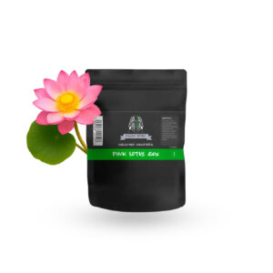 Pink Lotus 50x Extract (3 gram)