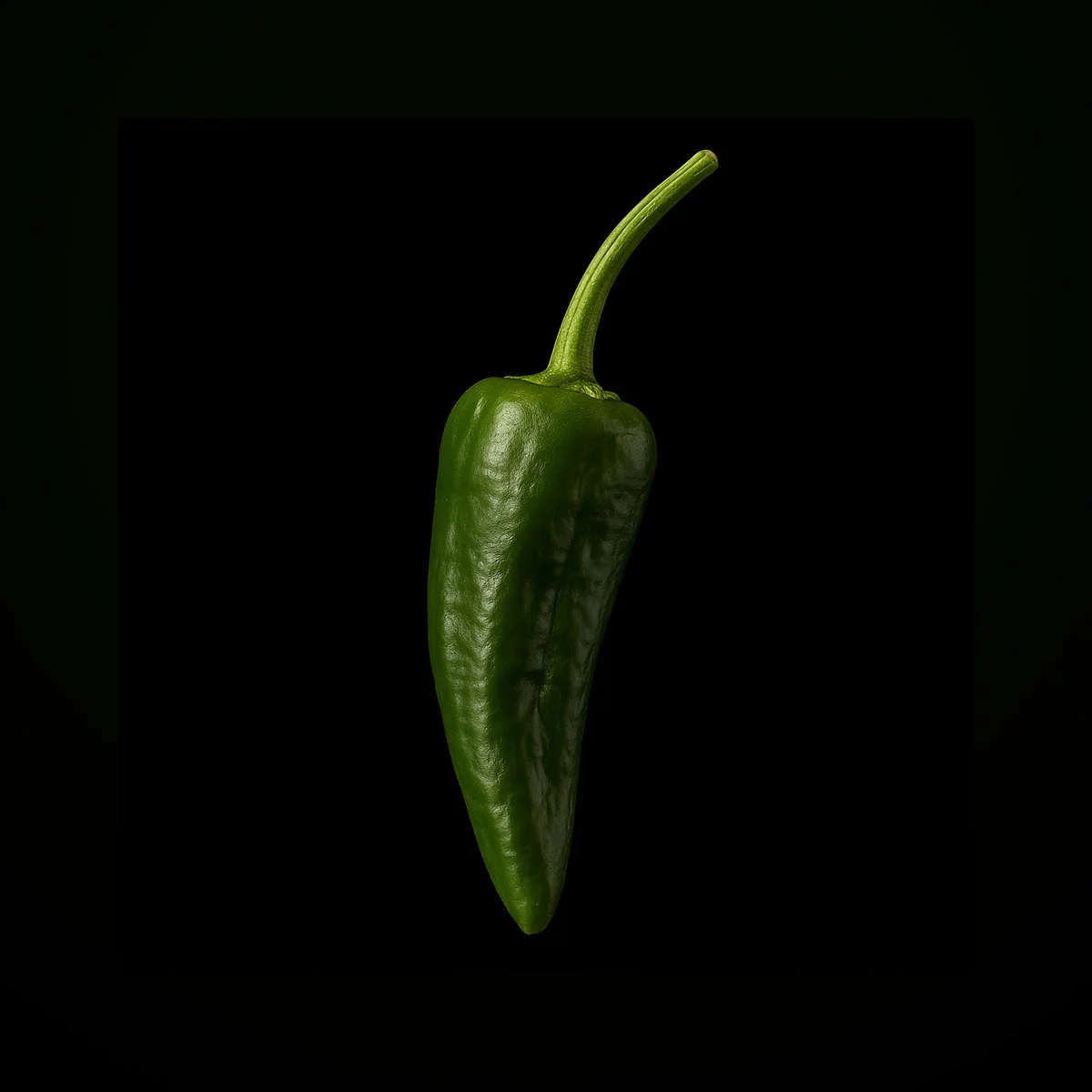 Padrón (10 seeds)
