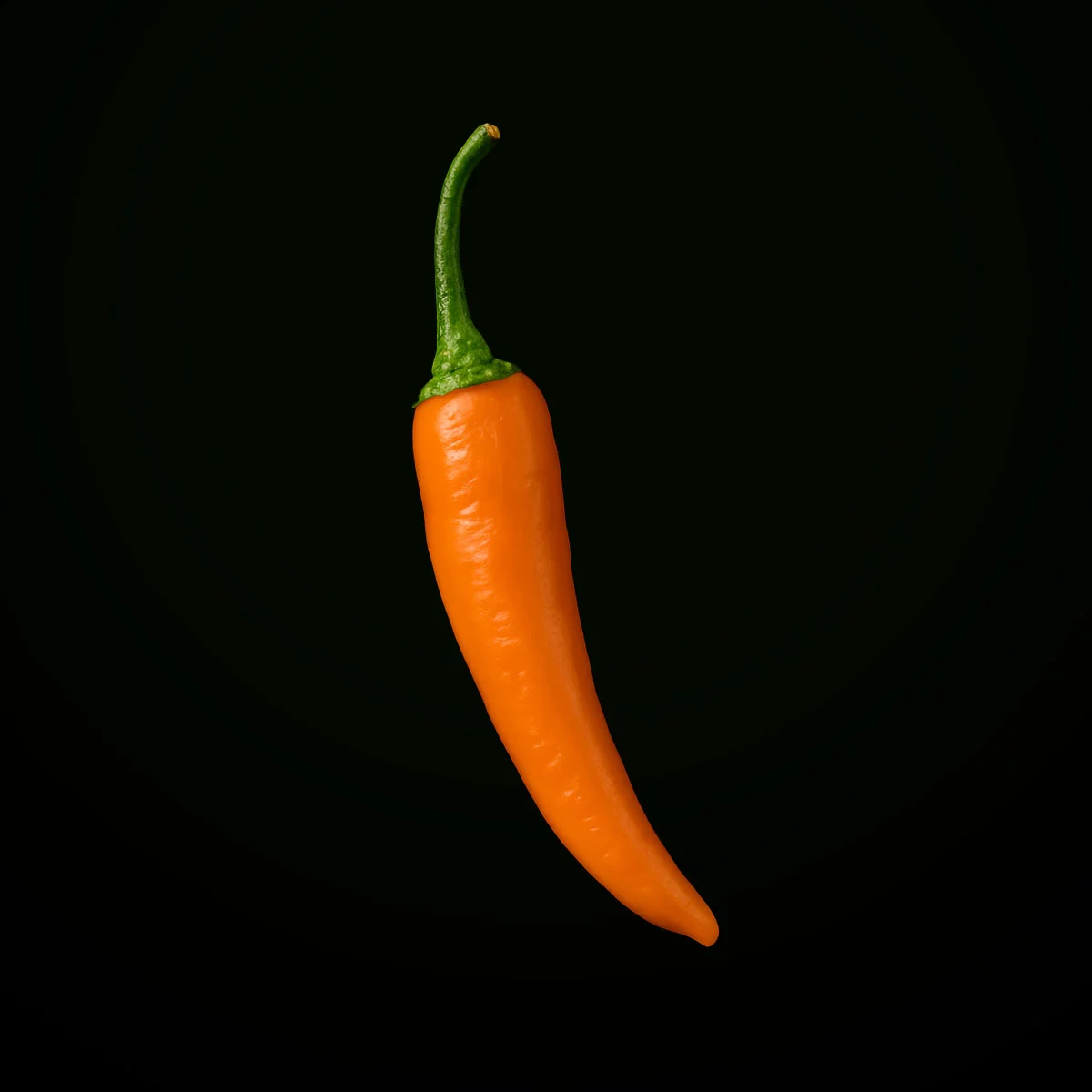 Portocoleva Fifironca (10 seeds)