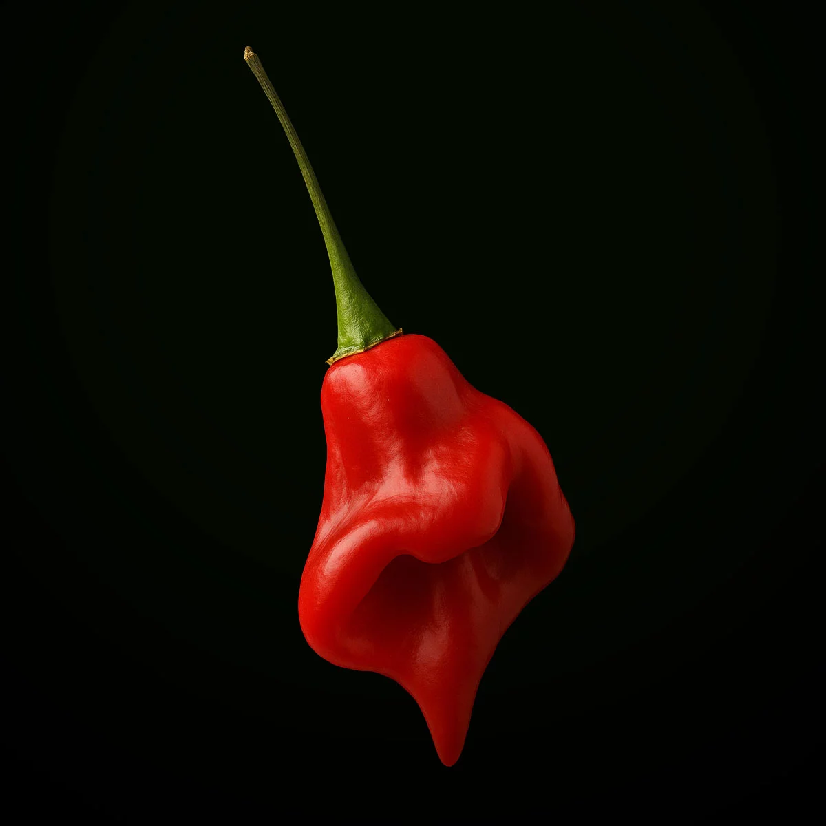 Rocotillo (10 seeds)