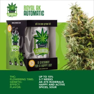 IGrowCan | Royal AK Automatic