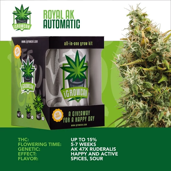 IGrowCan | Royal AK Automatic