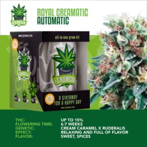 IGrowCan | Royal Creamatic Automatic