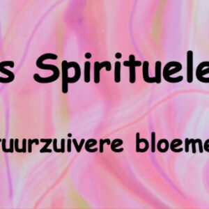 Wierook Roze Lotus | 24 Stokjes Natuurzuivere Bloemenwierook