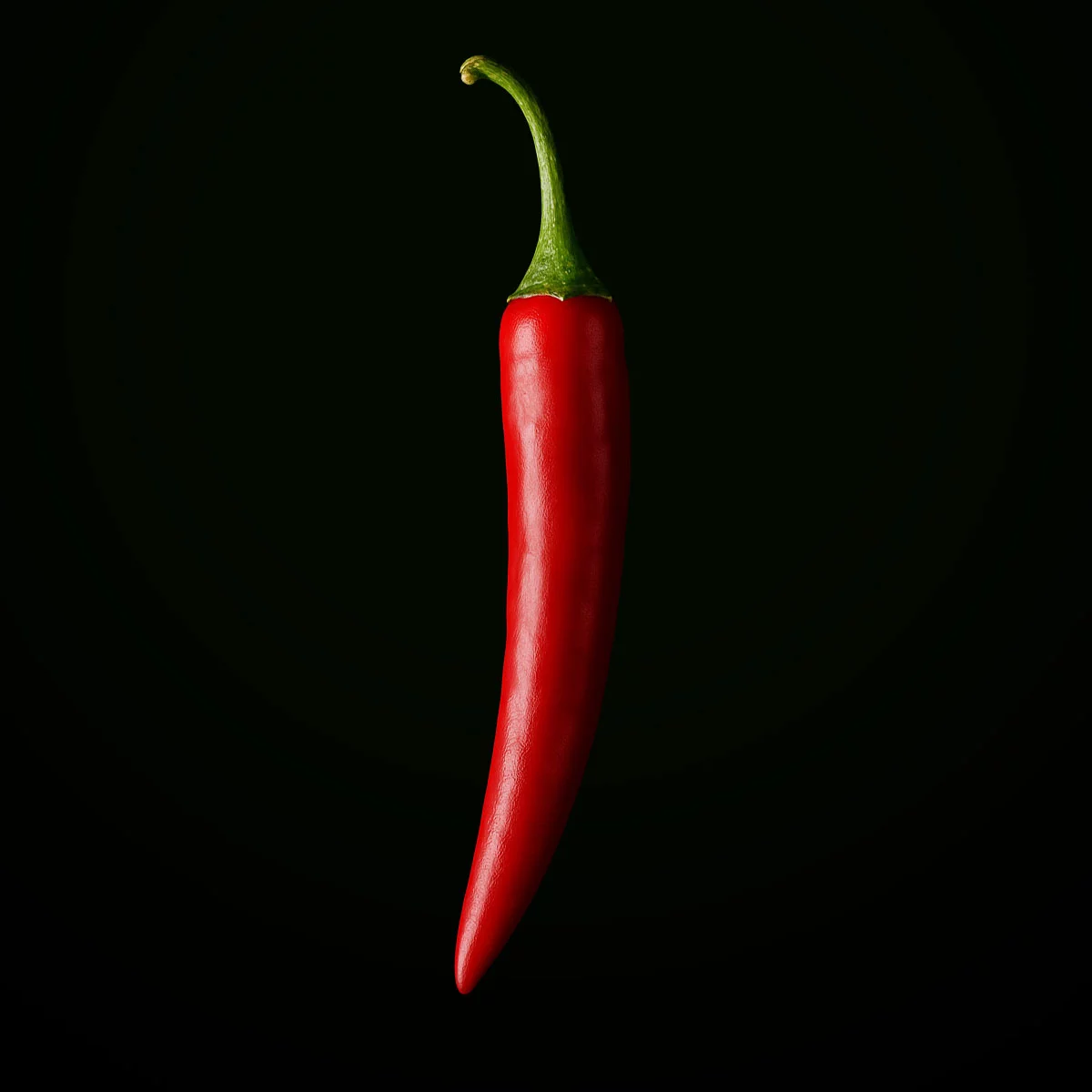 Spanish Red (10 seeds)