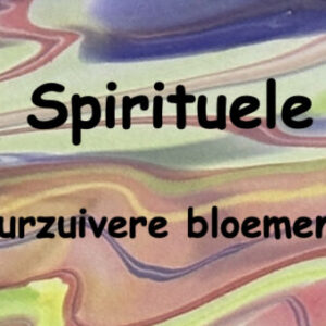 Wierook Spirit van het Woud | 24 Stokjes Natuurzuivere Bloemenwierook