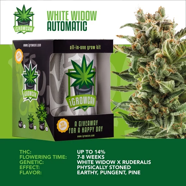 IGrowCan | White Widow Automatic