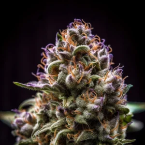 Indian Spirit | USA Blue Dream (automatic)