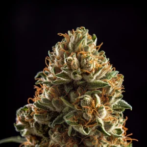 Indian Spirit | USA Pineapple Cake (automatic)