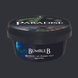 Paradise Steam Stones - Bumble B (100g)
