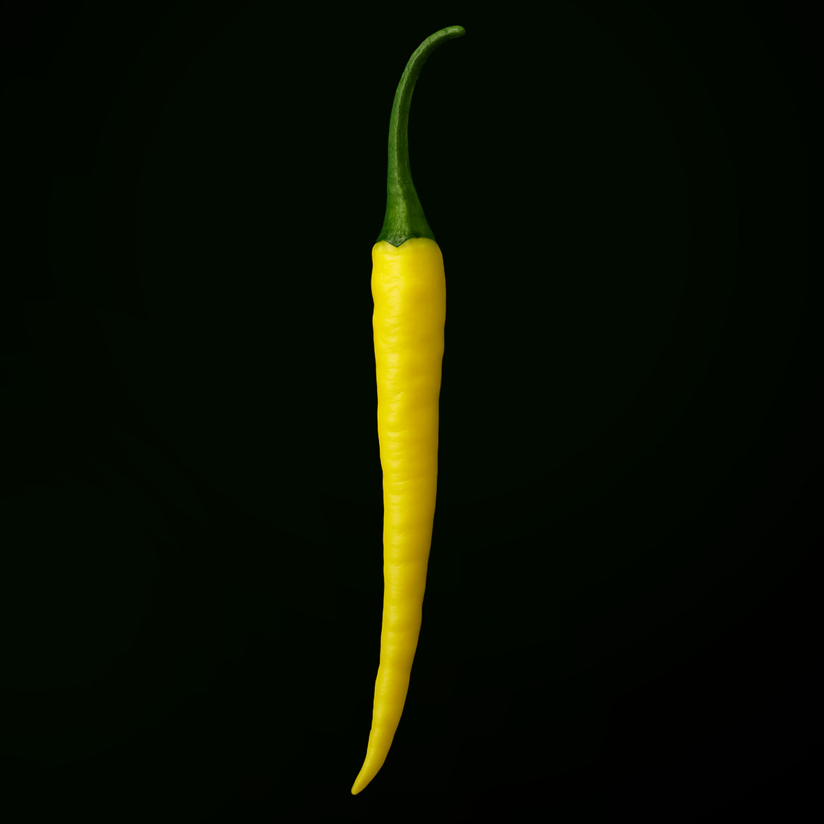 Cedrino (10 seeds)