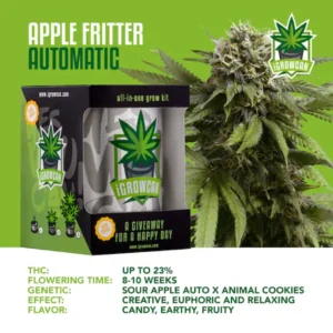 IGrowCan | Apple Fritter Automatic
