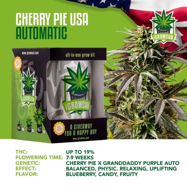 IGrowCan | Cherry Pie Automatic