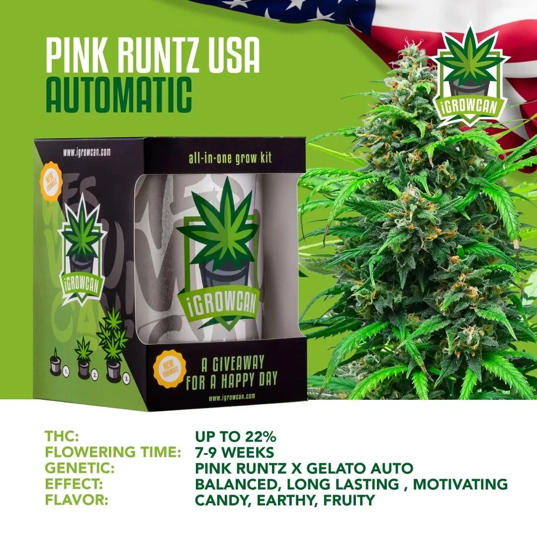 IGrowCan | Pink Runtz Automatic