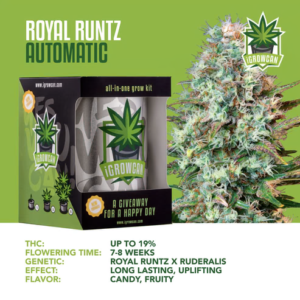 IGrowCan | Royal Runtz Automatic