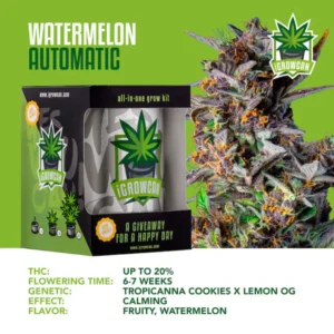 IGrowCan | Watermelon Automatic