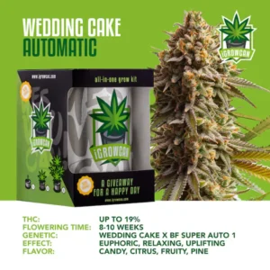 IGrowCan | Wedding Cake Automatic