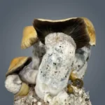 Royale Flush | Penis Envy Gigantus Growkit (1200cc) - Afbeelding 2