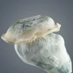 Royale Flush | Melmac 116 Growkit (1200cc) - Afbeelding 2