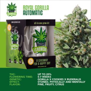 IGrowCan | Royal Gorilla Automatic
