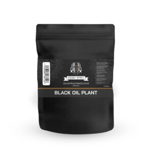 Black Oil Plant (20 seeds)